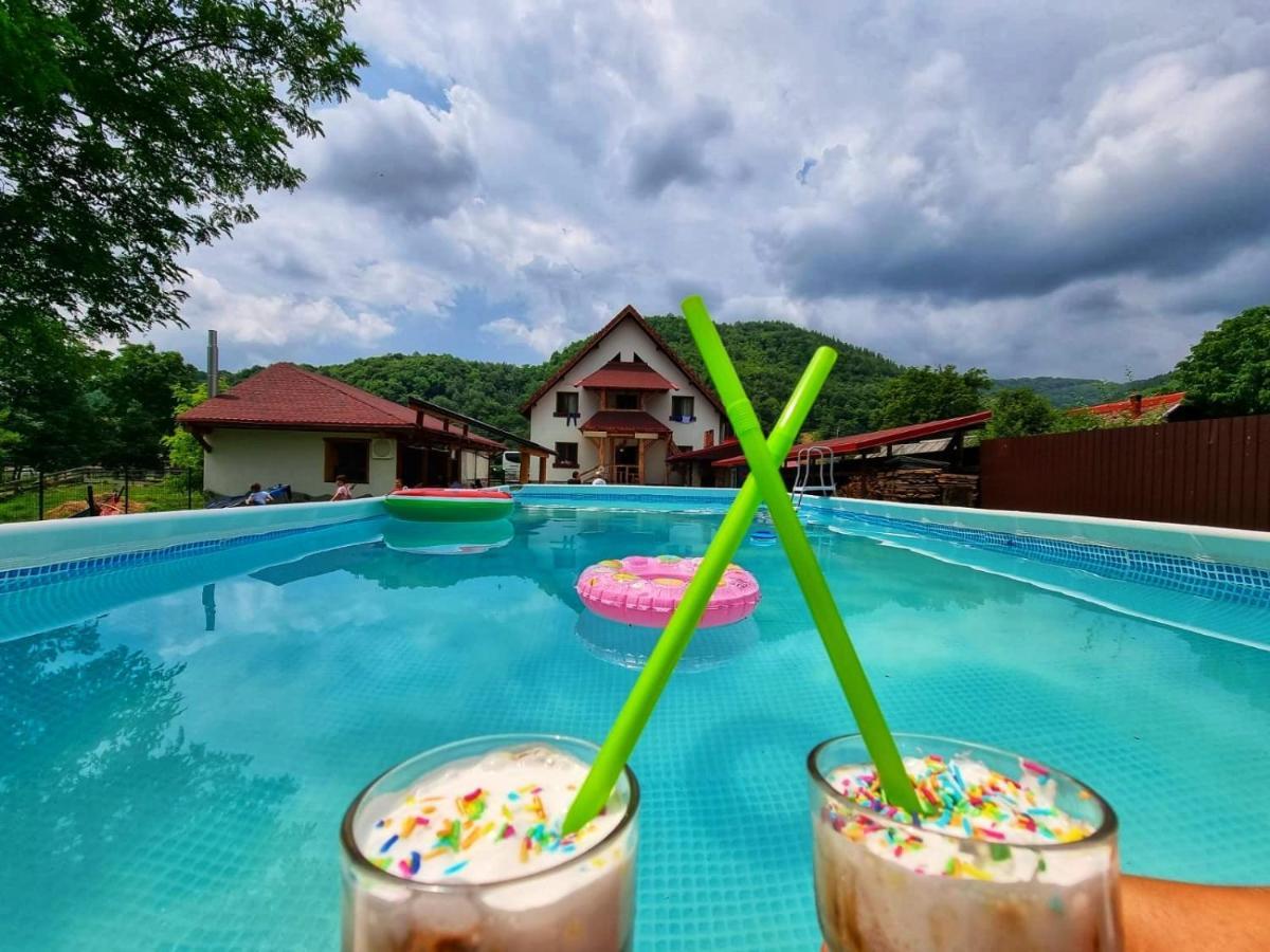 Conacul De Sub Munte Villa Novaci-Străini Buitenkant foto