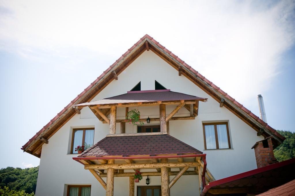 Conacul De Sub Munte Villa Novaci-Străini Buitenkant foto