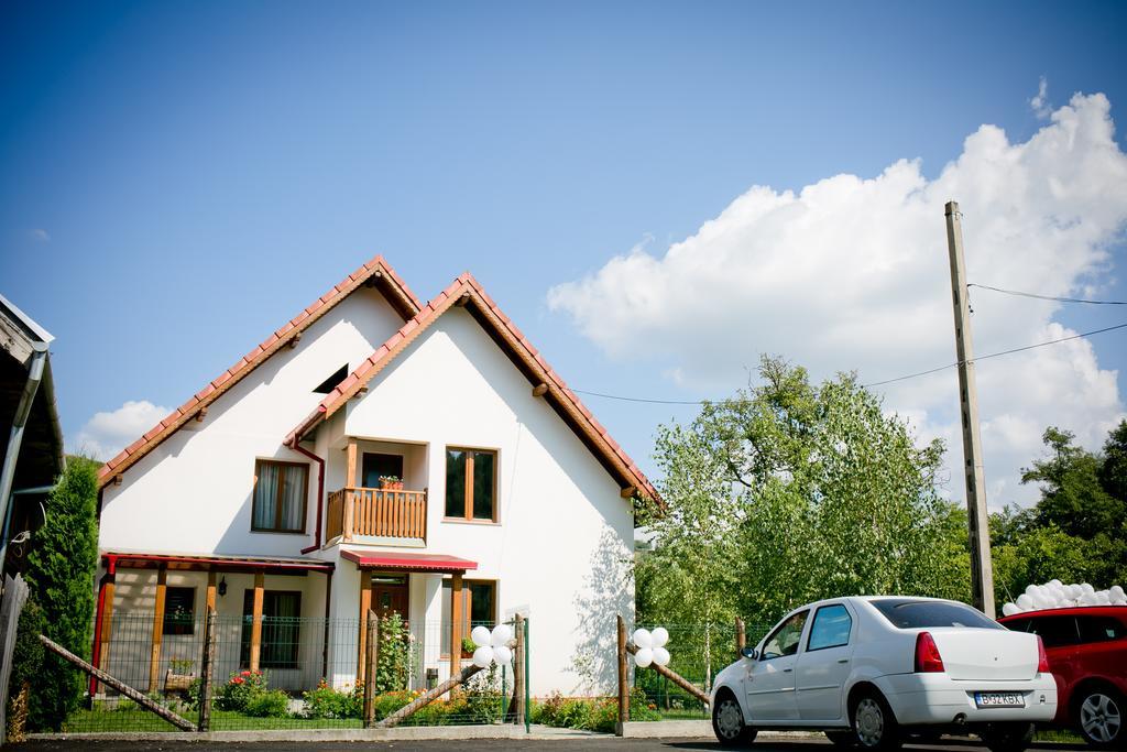 Conacul De Sub Munte Villa Novaci-Străini Buitenkant foto