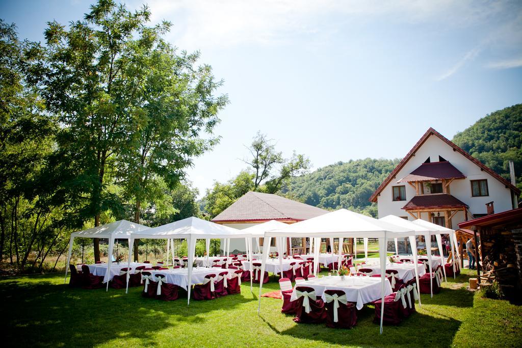 Conacul De Sub Munte Villa Novaci-Străini Buitenkant foto