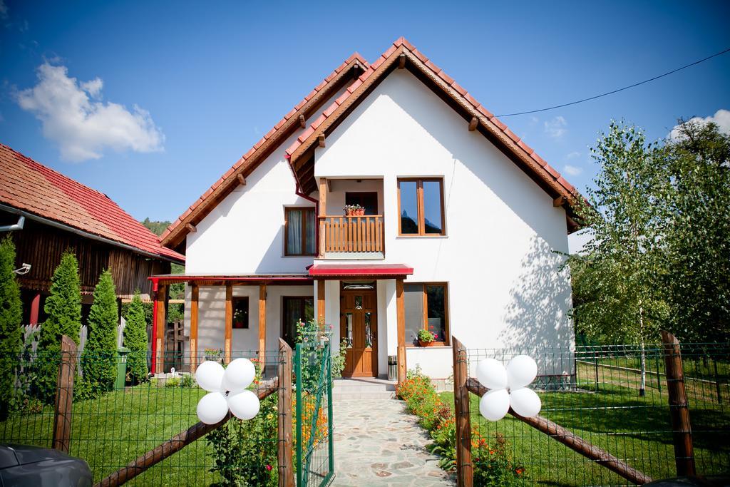 Conacul De Sub Munte Villa Novaci-Străini Buitenkant foto