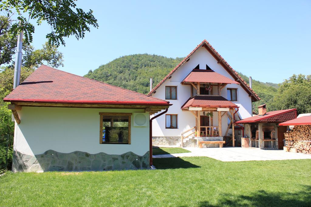 Conacul De Sub Munte Villa Novaci-Străini Buitenkant foto