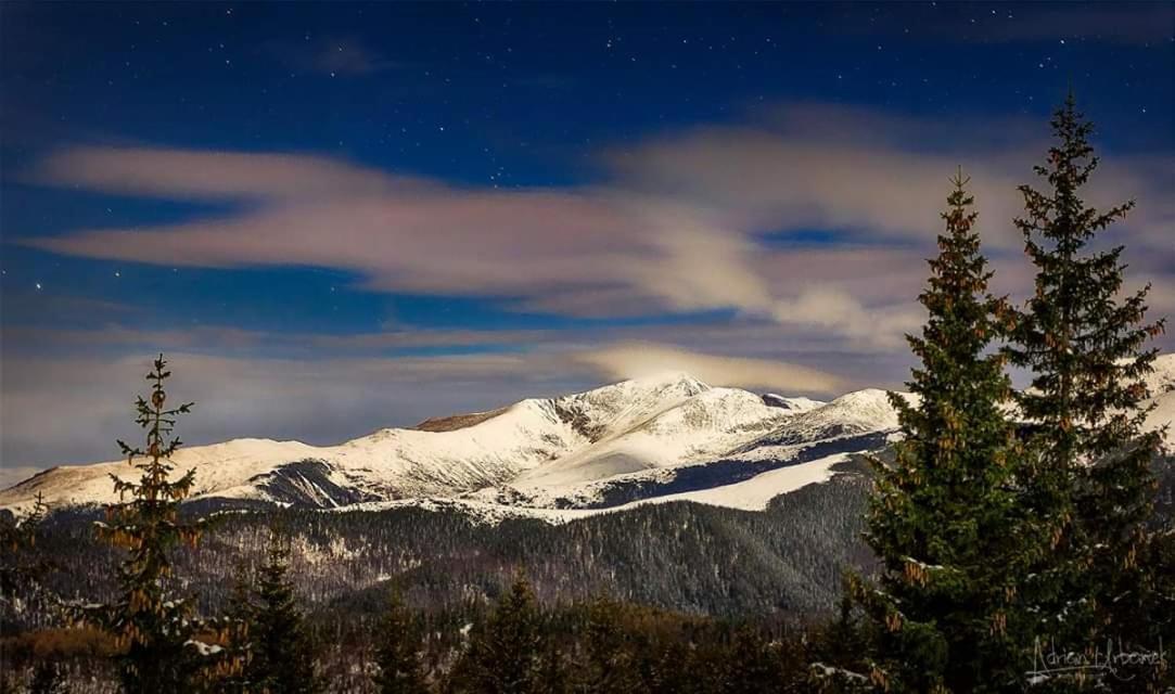 Conacul De Sub Munte Villa Novaci-Străini Buitenkant foto