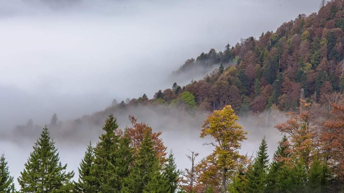 Conacul De Sub Munte Villa Novaci-Străini Buitenkant foto