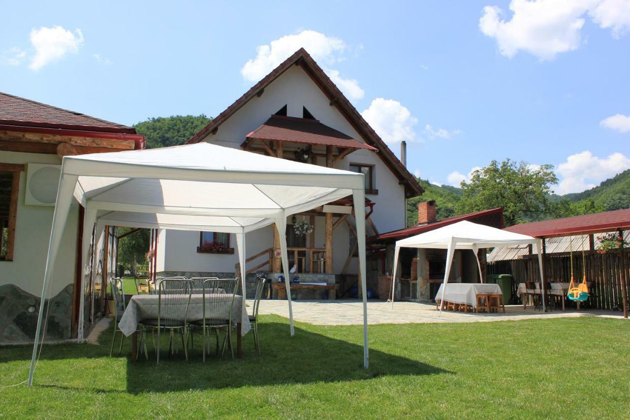 Conacul De Sub Munte Villa Novaci-Străini Buitenkant foto