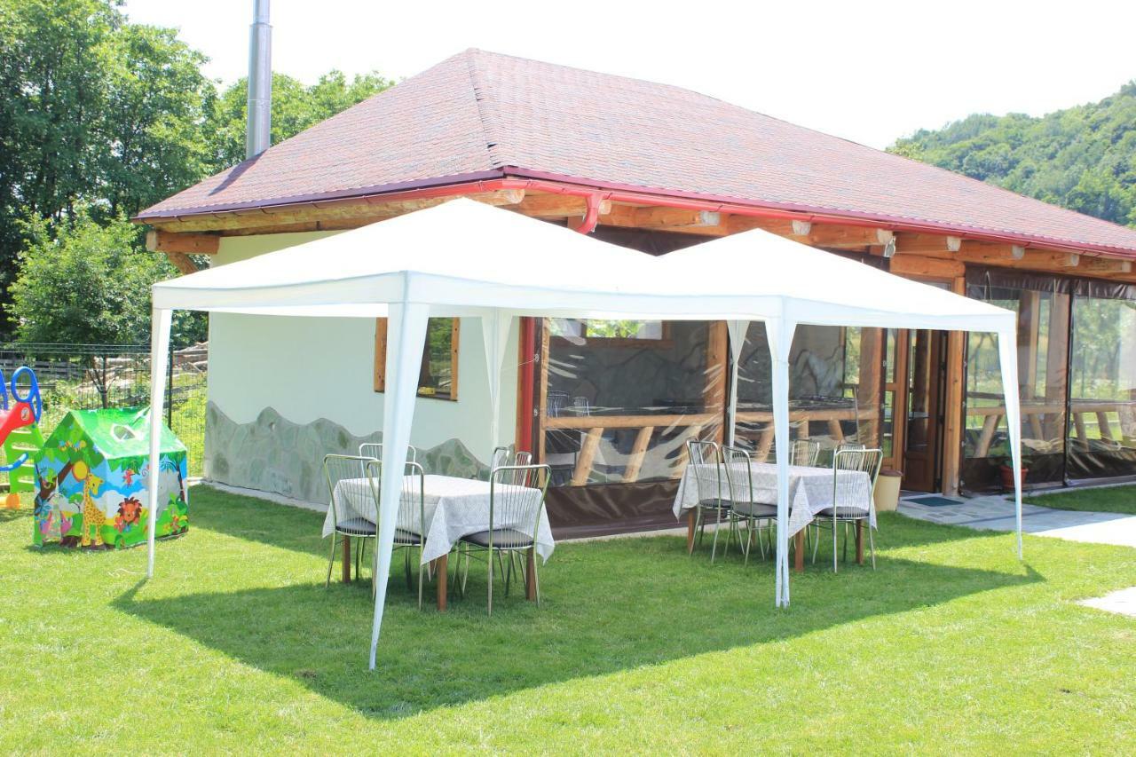 Conacul De Sub Munte Villa Novaci-Străini Buitenkant foto