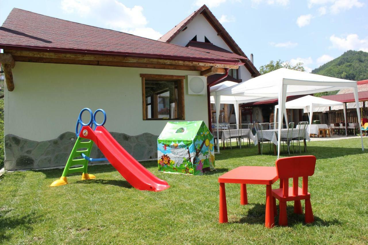 Conacul De Sub Munte Villa Novaci-Străini Buitenkant foto
