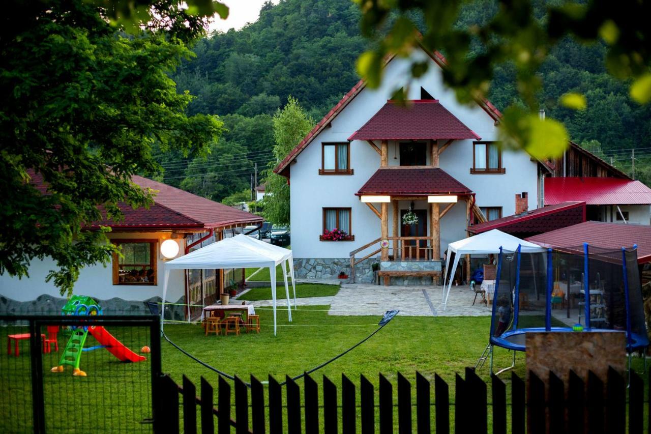 Conacul De Sub Munte Villa Novaci-Străini Buitenkant foto
