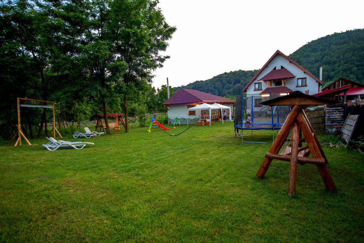 Conacul De Sub Munte Villa Novaci-Străini Buitenkant foto