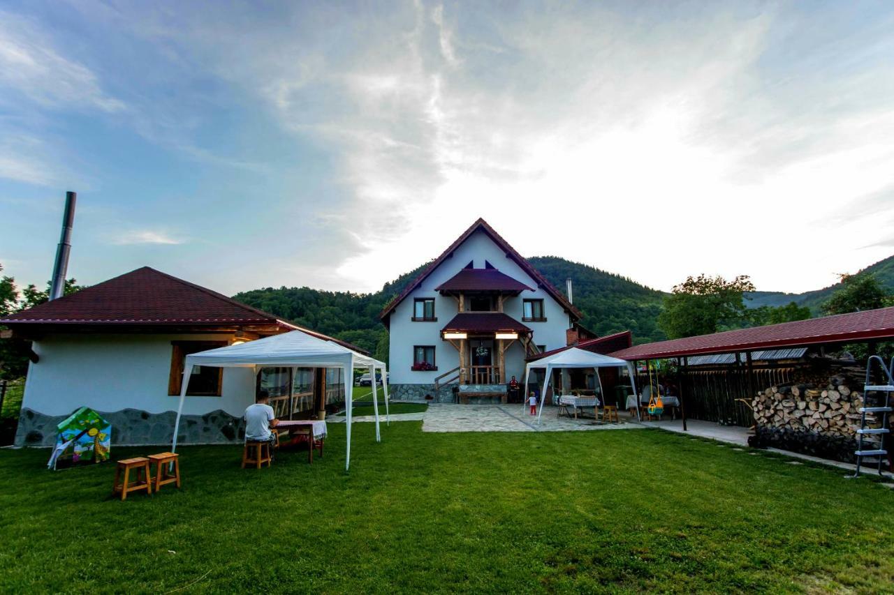 Conacul De Sub Munte Villa Novaci-Străini Buitenkant foto